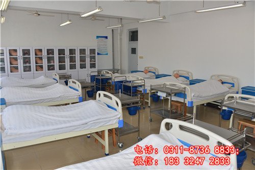 招生信息浏览