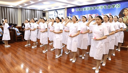 占地208亩