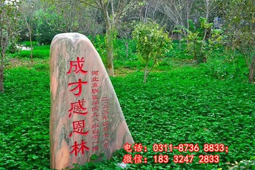 u4281img36_副本1.jpg 招生问答浏览