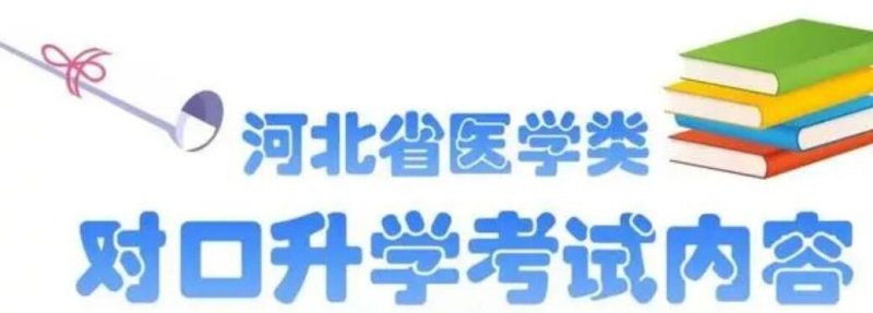 2026-08-18分类