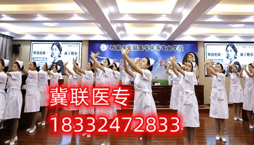 招生信息浏览