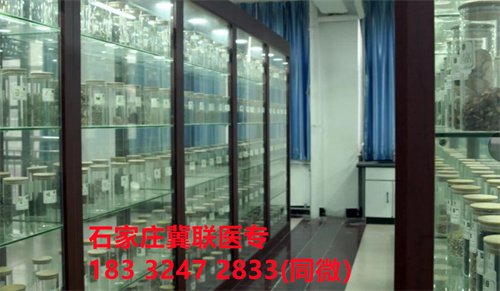 招生要求